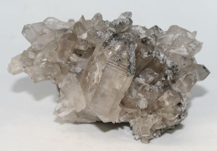 Smoky Lemurian Phantom MedClust