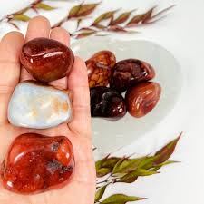 Large Carnelian Tumbled