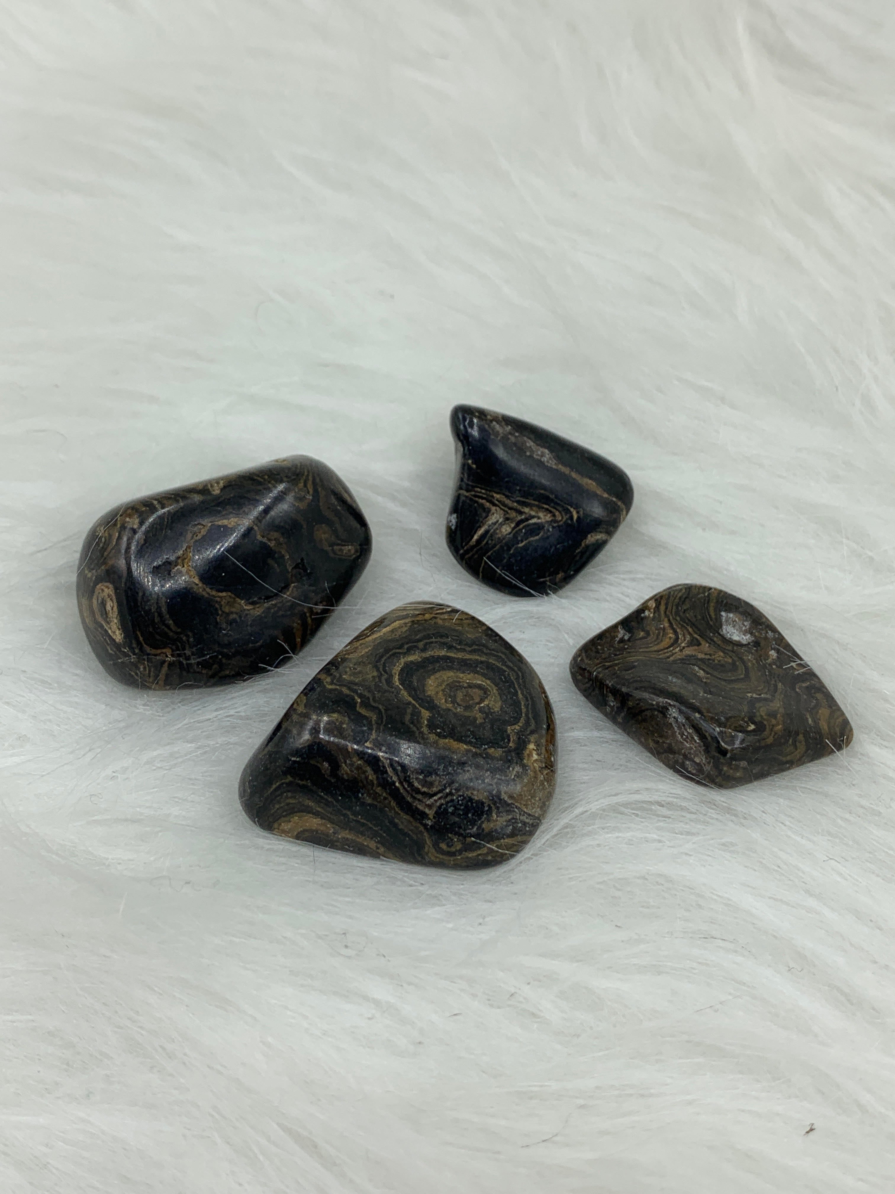 Stromatolite - Tumbled