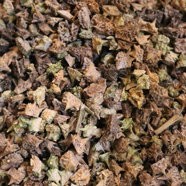 Tribulus Fruit - Organic (1 oz)