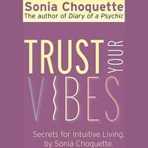 Trust Your Vibes book
