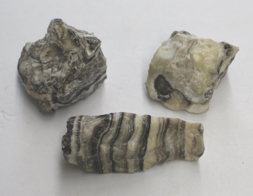 Calcite Zebra - X-Small