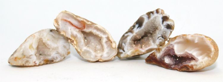 Geodge Halves 1"