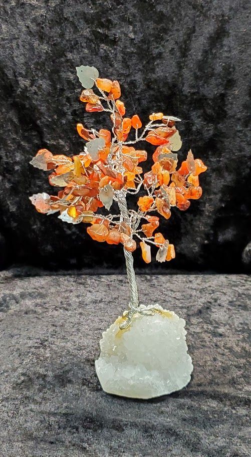 Carnelian Tree Well Life