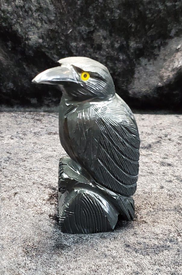 XL Black Onyx Raven