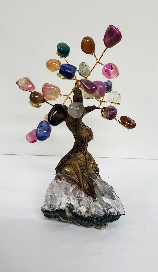 Multi Bonsai Tree Sm