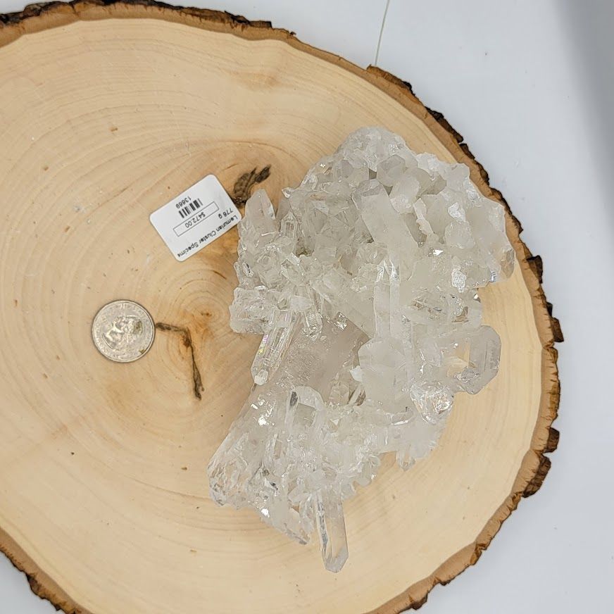 Lemurian Cluster Specimen 776g