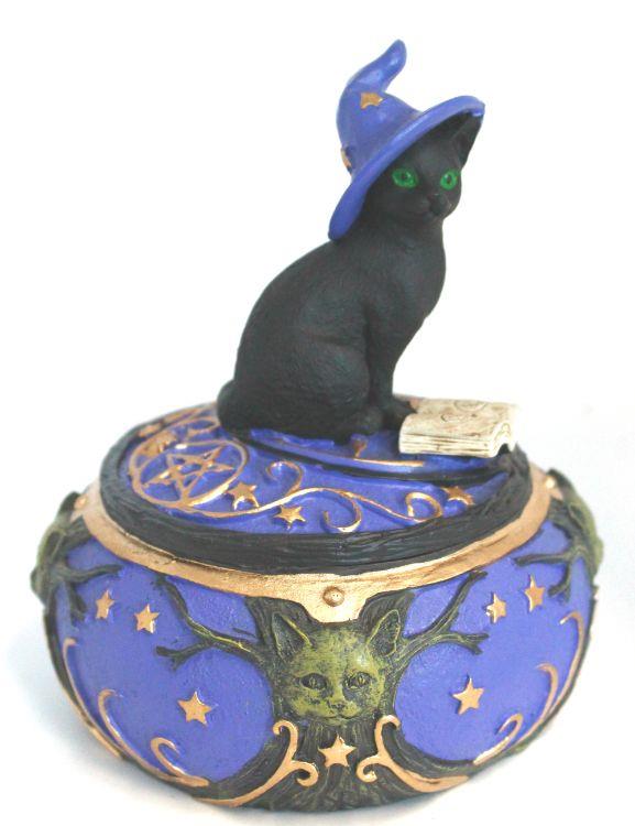 Magical Cat Box