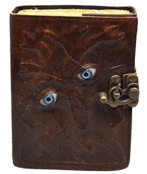 Two Eyes Aged Looking Journal