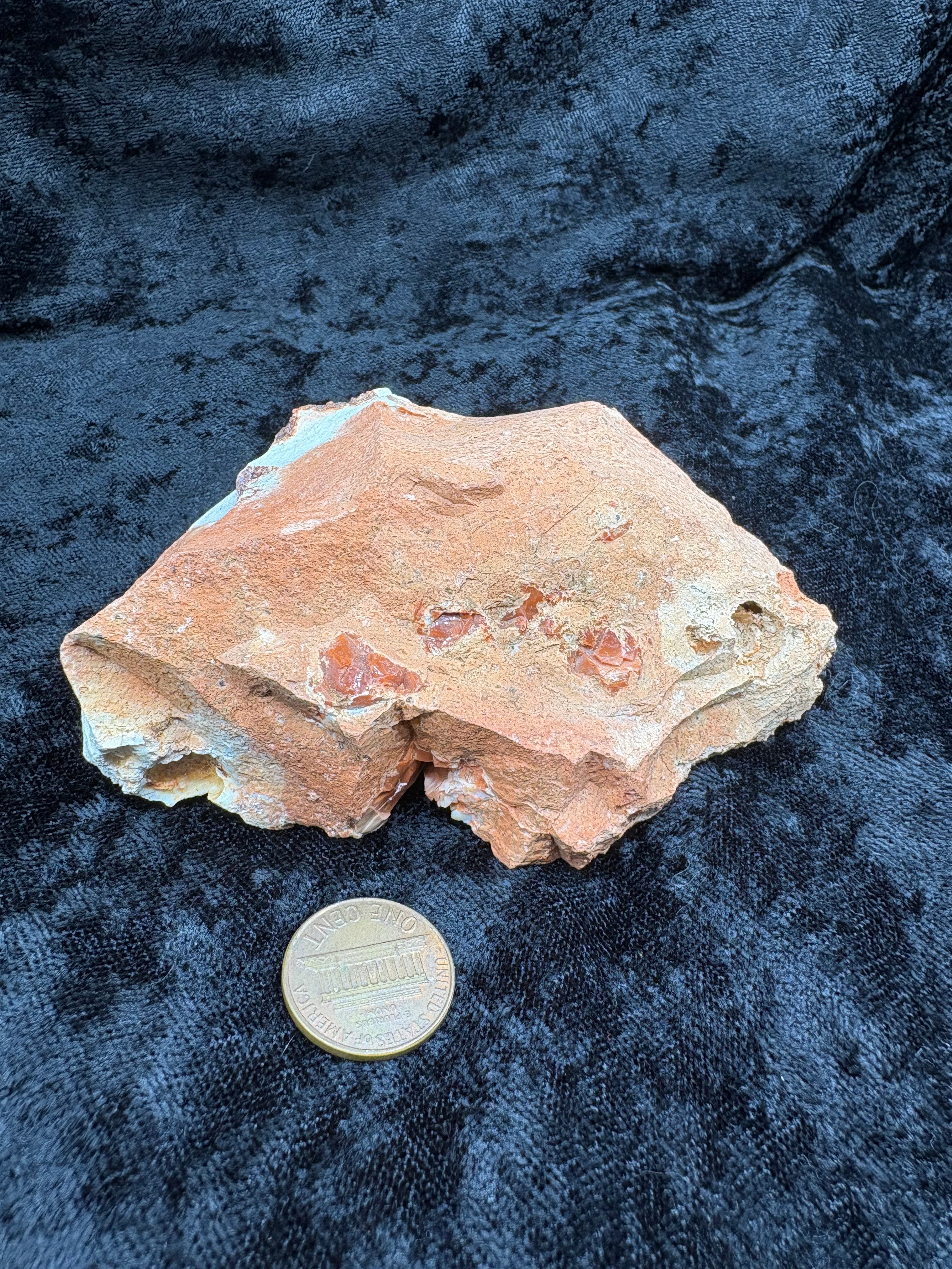 Matrix Opal Med Specimen