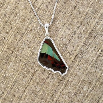 Blue Bottle Butterfly SS Pendant