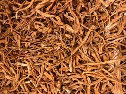 Cordyceps Mushroom - Sliced (1 oz)