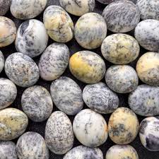 Dendritic Opal Palm Stone 2"