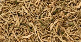 Honeysuckle Flower (1 oz)