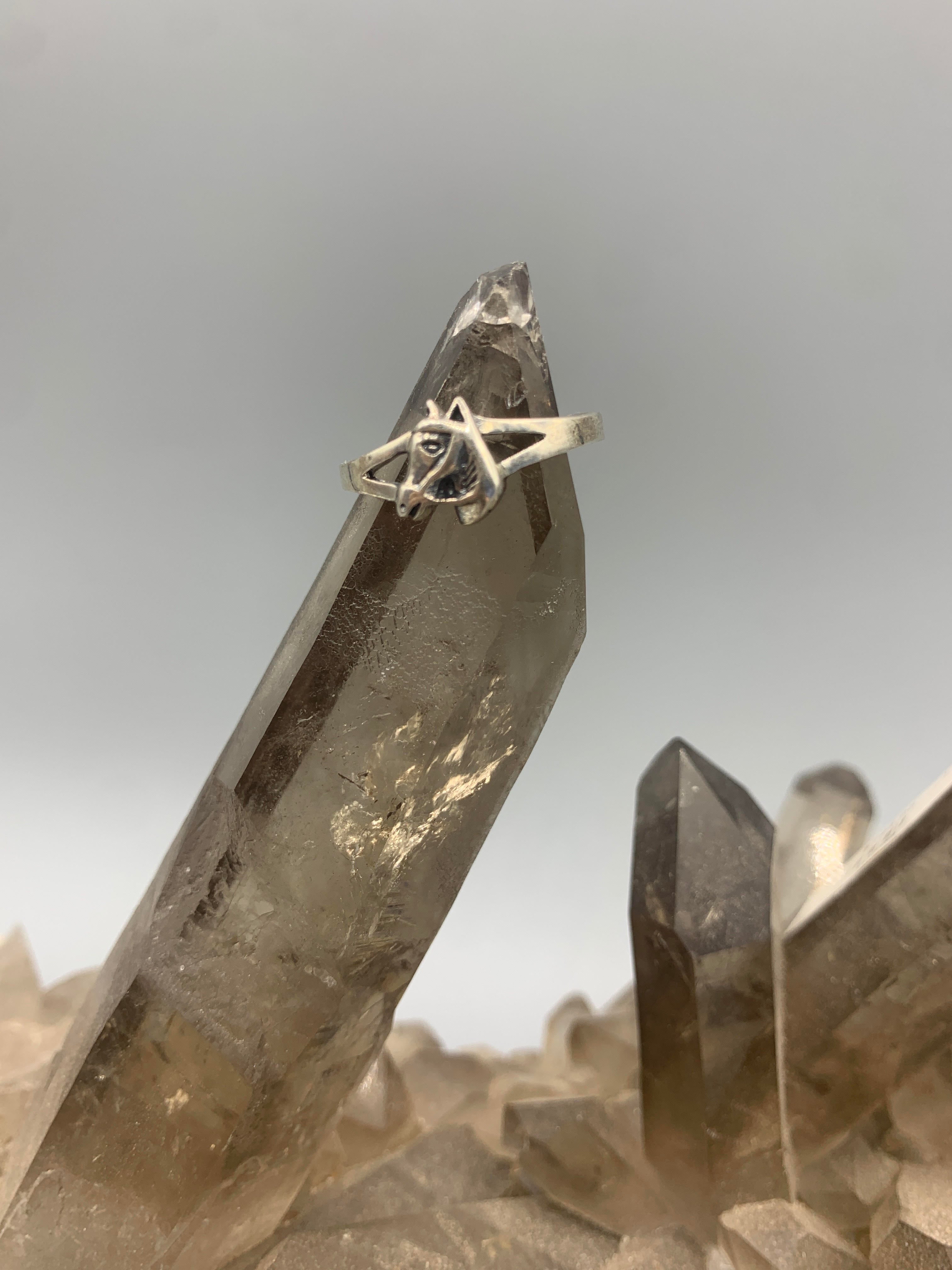 Sterling Silver Horse Ring - Size 8