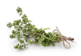 Marjoram Sweet - Essential Oil