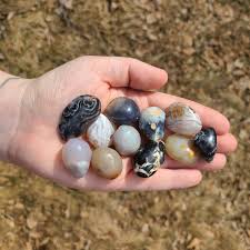 Occo Agate - Tumbled