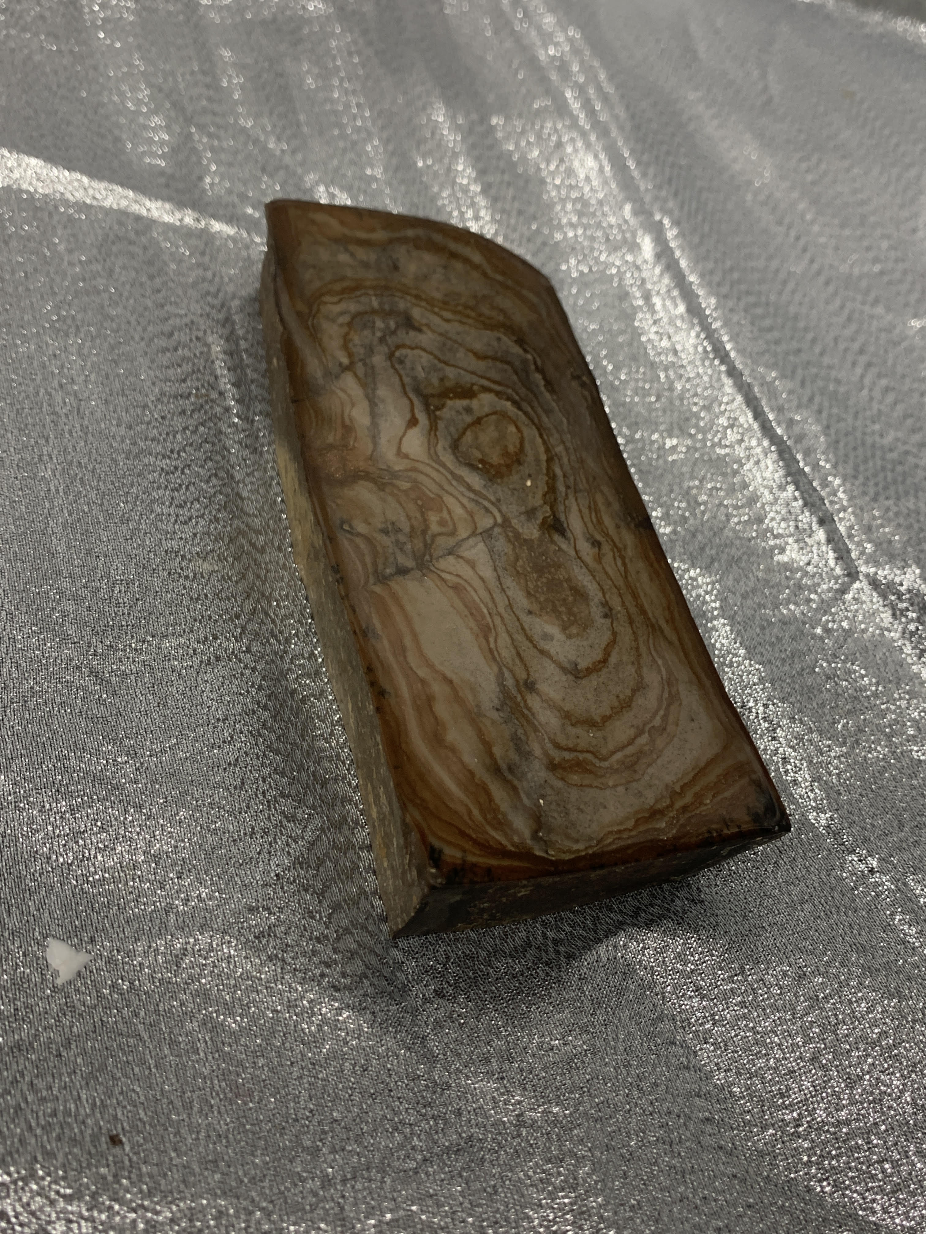 Petrified Wood Slab 280g