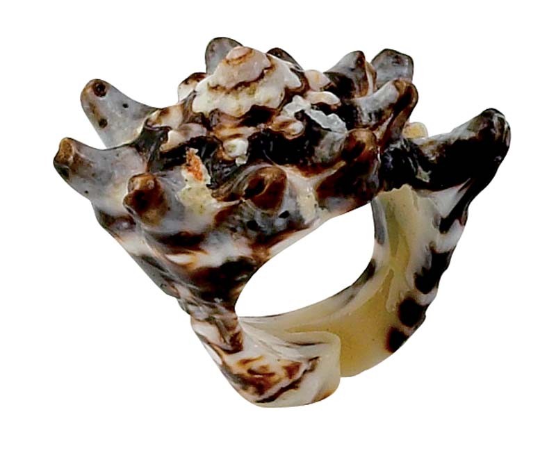Seashell Ring - Assorted