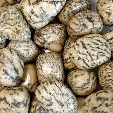 Zebradorite Tumbled