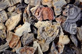 Zeusite - Raw (Medium 20-39g)